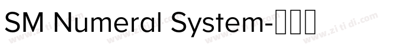 SM Numeral System字体转换 SM Numeral System字体转换